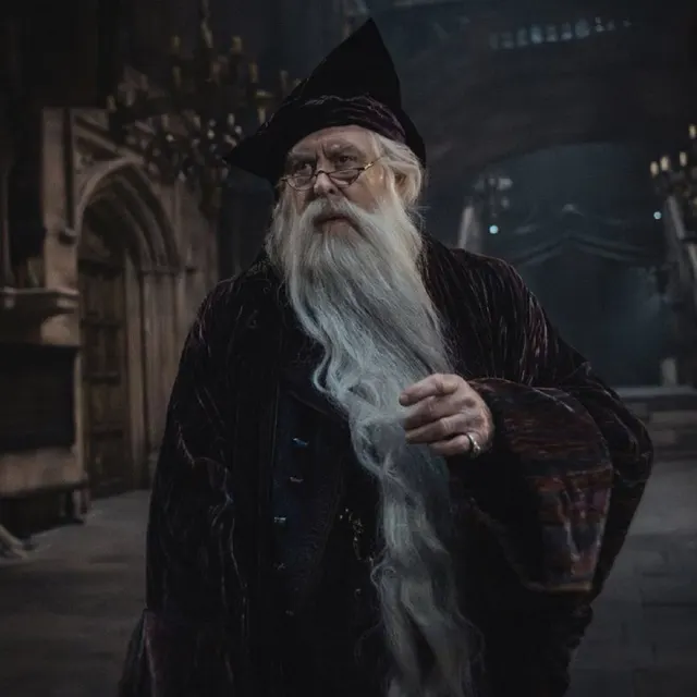 Albus Dumbledore Serious Portrait meme template