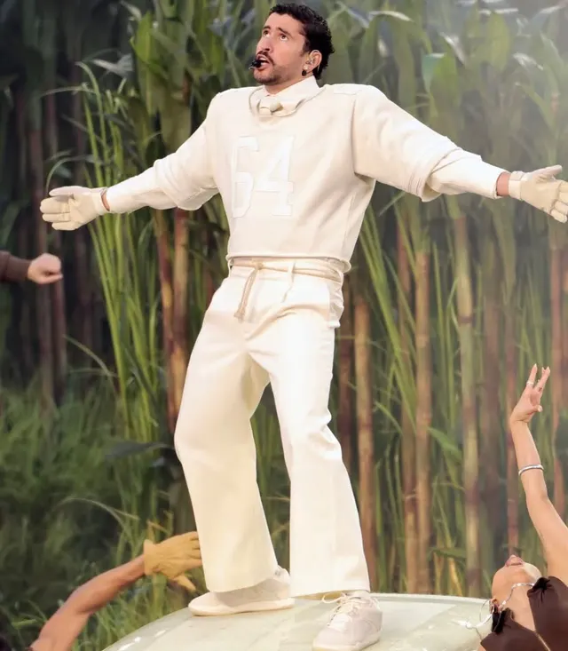 Bad Bunny Performing With Arms Out meme template