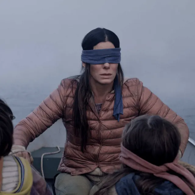 Bird Box Blindfolded Sandra Bullock meme template
