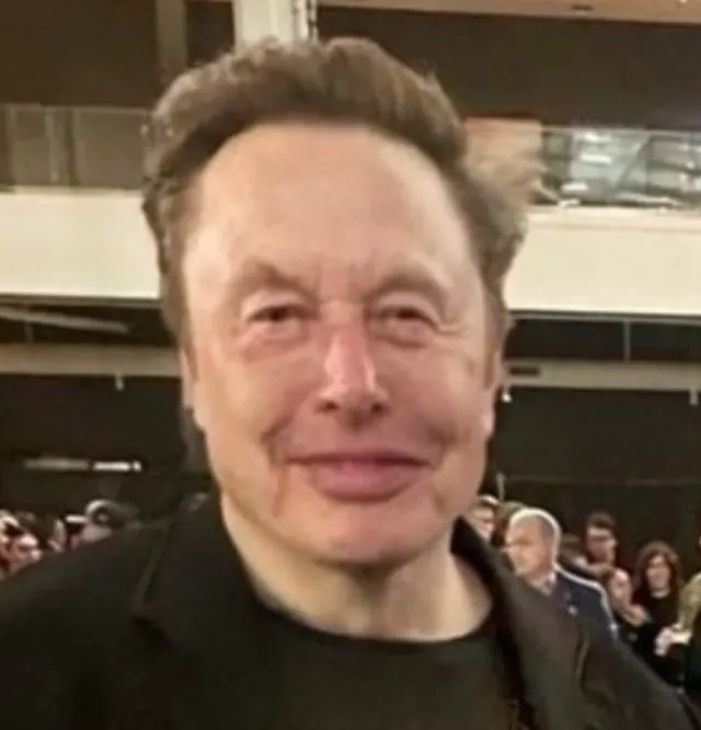 Bogged Elon Musk meme template