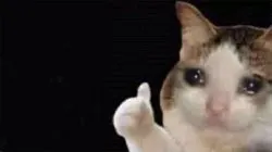 Crying Cat Thumbs Up meme template
