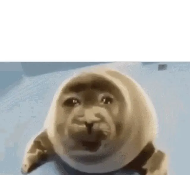 Crying Seal GIF template
