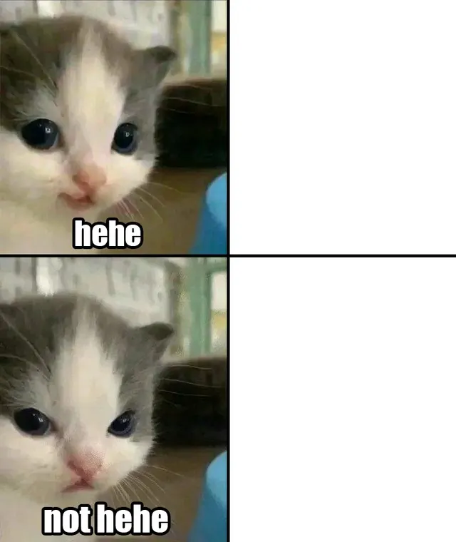 Cute Cat Hehe and Not Hehe meme template