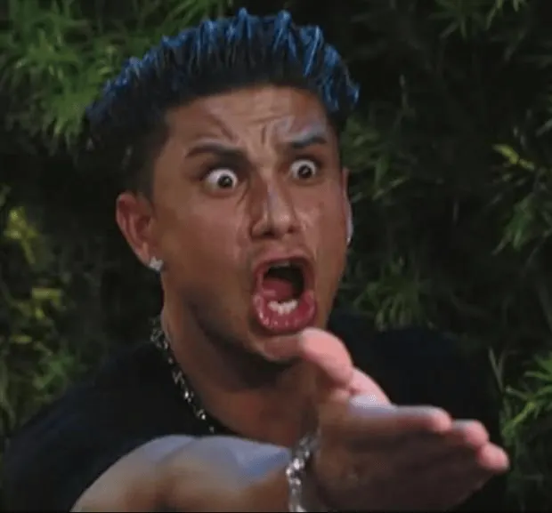 DJ Pauly D Pointing Reaction meme template