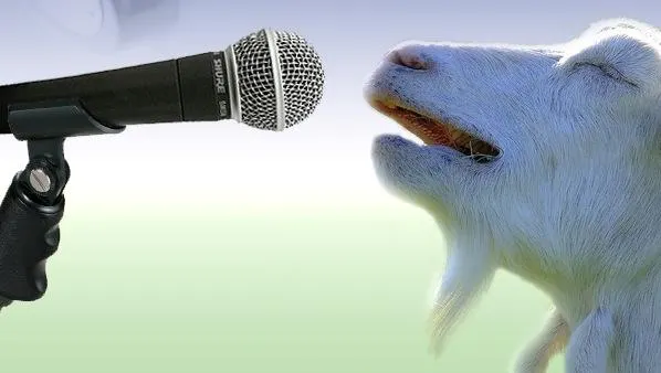 Goat Singing meme template