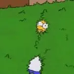 Homer Bushes meme template