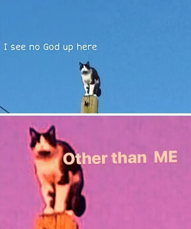 I See No God Up Here Other Than Me Cat meme template