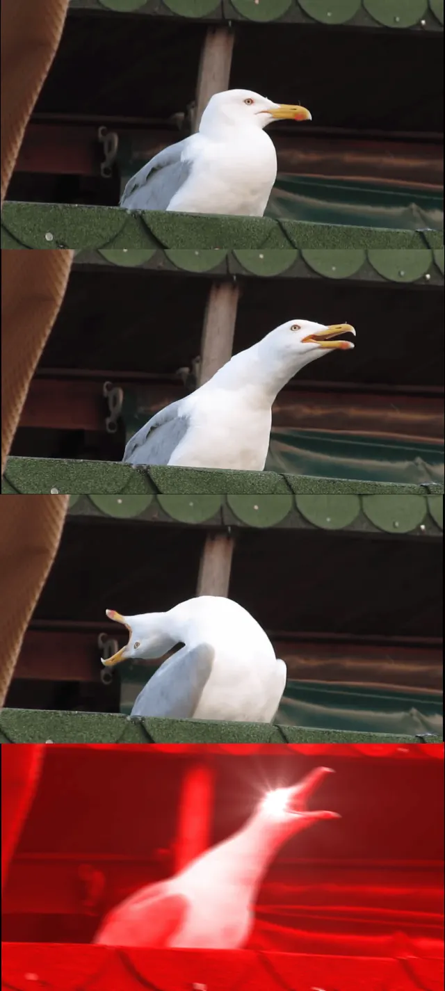 Inhaling Seagull (4 Panel) meme template