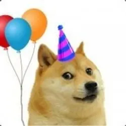 Party Dog meme template