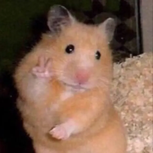 Peace Sign Hamster meme template