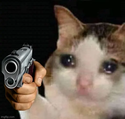 Sad cat pointing gun meme template