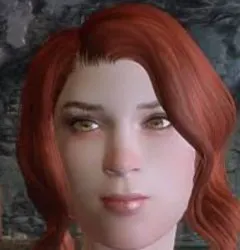 Skyrim Npc meme template