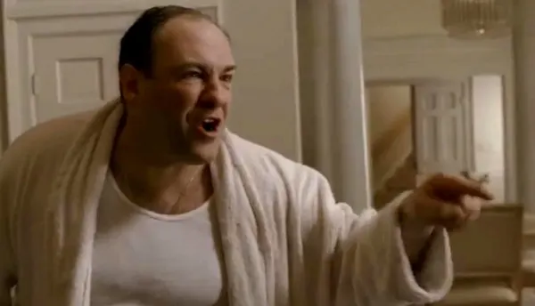 Tony Soprano In This House meme template