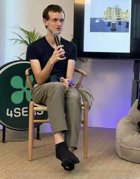 Vitalik Buterin's holey sock meme template