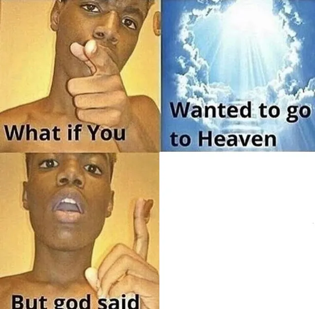 What If You Wanted to Go to Heaven meme template
