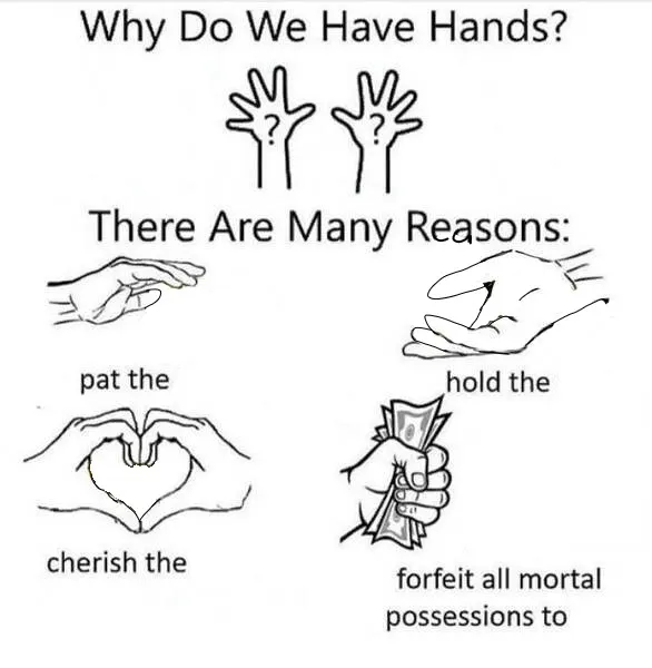 Why Do We Have Hands meme template