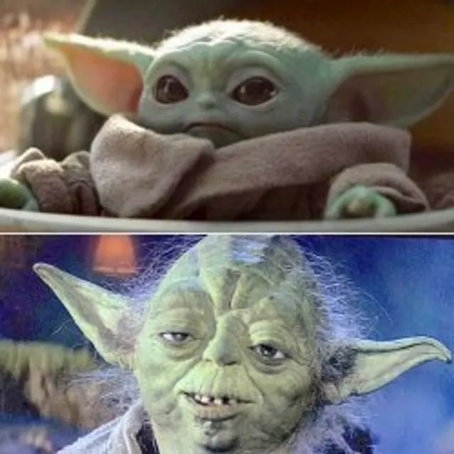 Yoda vs. Baby Yoda meme template